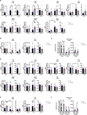 TLR7 promotes chronic airway disease in RSV-infected mice